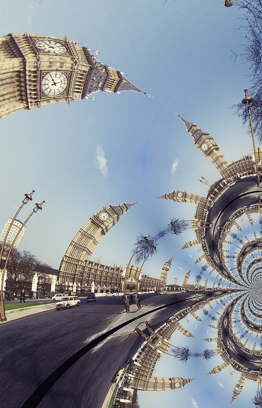 Big Beng Big Bang Big Ben Goedart Palm