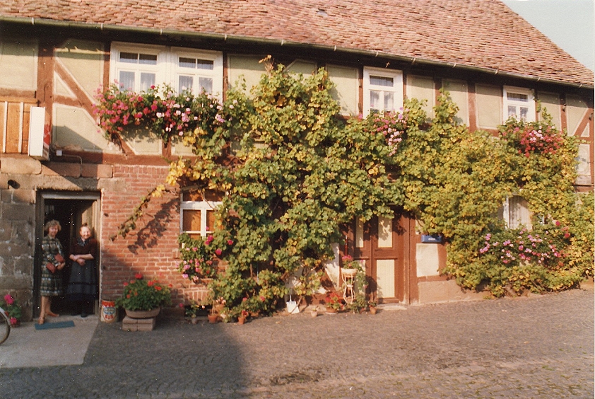 Kolonialwaren Todenhausen Palm Llkes