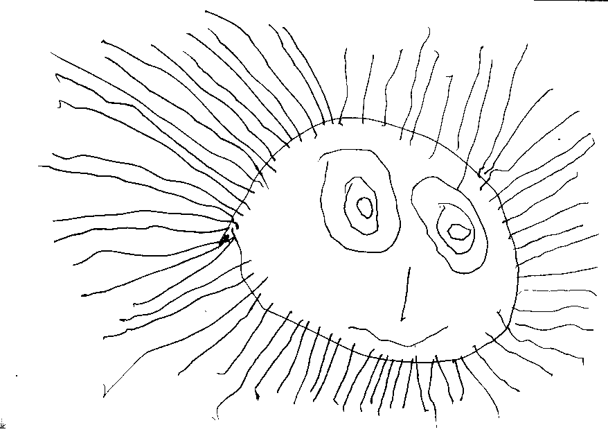 sukoan.GIF (180834 Byte)