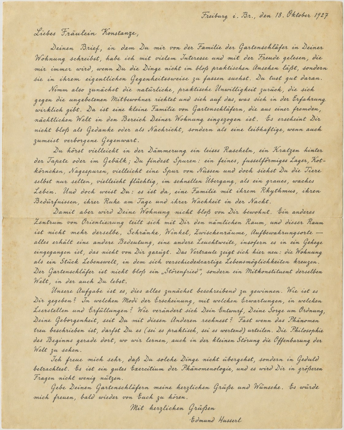 KI-generiertes fiktives Briefblatt, das einen Brief Edmund Husserls an Konstanze nachahmt